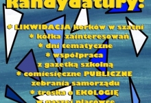 wybory do samorządu - plakaty