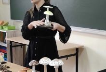 Rozpoznawanie grzybów jadalnych