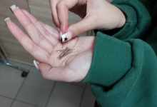 Czytamy polecamy