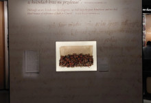 Wizyta w Muzeum Historii Żydów Polskich POLIN