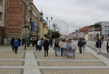 Edukacja przyrodnicza w terenie 04.10.2024.