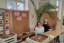 Zapraszamy na pączki