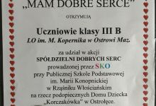 Akcja "Pomogę, bo mogę"
