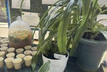 Dzień Otwarty w Koperniku - 27.05.2025