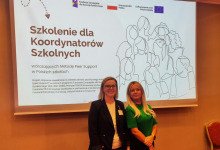 Projekt „Wsparcie rówieśnicze w zakresie zdrowia psychicznego młodzieży (peer support)”