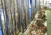 Warsztaty Mykologiczne w PSSE