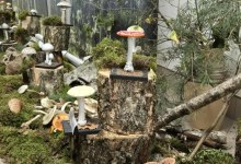 Warsztaty Mykologiczne w PSSE