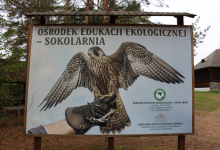 Edukacja przyrodnicza w terenie 03.10.2025