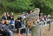 Edukacja przyrodnicza w terenie 03.10.2025