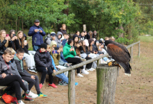 Edukacja przyrodnicza w terenie 03.10.2025