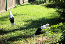 Edukacja przyrodnicza w terenie 03.10.2025