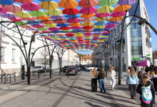 Edukacja przyrodnicza w terenie 03.10.2025