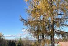 Wycieczka w Bieszczady