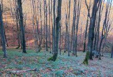 Wycieczka w Bieszczady