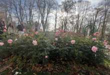 Wycieczka w Bieszczady