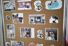 Zapraszamy na pączki