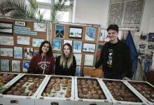 Zapraszamy na pączki