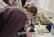 Lekcja poglądowa w PSSE