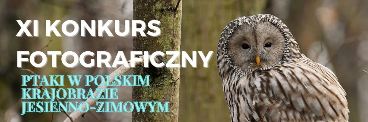 XI Konkurs Fotograficzny Ptaki w polskim krajobrazie jesienno-zimowym