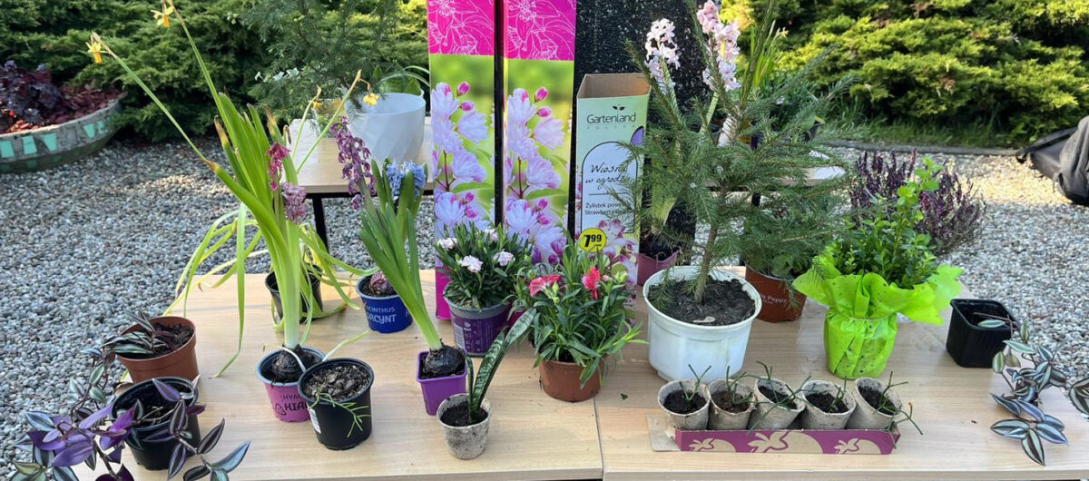 Zielony Targ Szkolnego Koła Ekologicznego „Eko Ostrowiak”