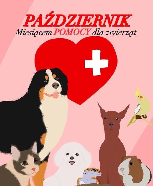 Październik- Miesiącem Pomocy Dla Zwierząt